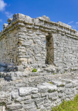 Antik Tulum, Tulum Meksika 'daki tropikal doğal orman palmiyesi ve deniz manzarasında tapınak kalıntıları ve eserlerle Maya bölgesini harabeye çeviriyor..