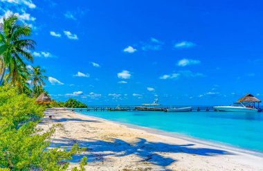 Amazing landscape panorama view with turquoise blue water palm trees blue sky and the natural tropical beach the forest and boats jetty pier and yacht on the island of Contoy in Quintana Roo Mexico. clipart