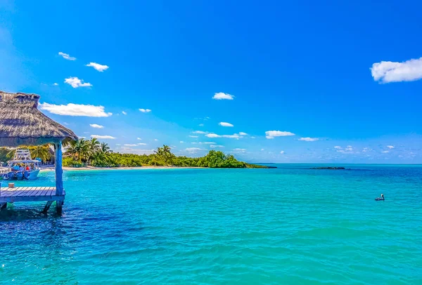 ターコイズブルーの水のヤシの木と素晴らしい風景のパノラマビュー青い空と自然の熱帯ビーチキンタナ メキシコのコントイ島の森とボート桟橋とヨット — ストック写真
