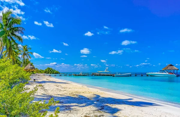 Turkuaz mavi palmiye ağaçları mavi gökyüzü ve doğal tropikal plajlar orman ve tekneler Quintana Roo Mexico 'daki Contoy adasında iskeleler ve yatlar..