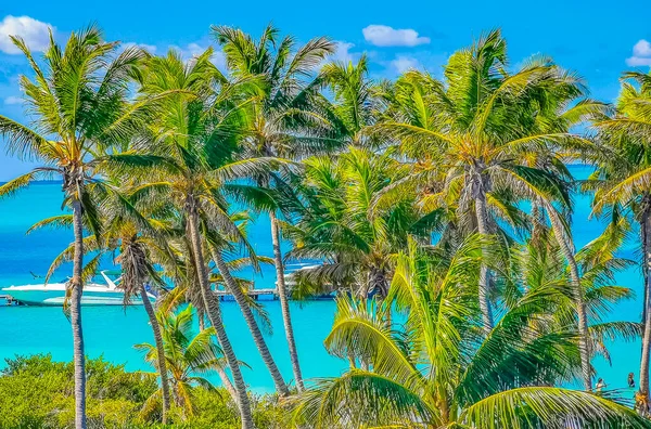 ターコイズブルーの水のヤシの木と素晴らしい風景のパノラマビュー青い空と自然の熱帯ビーチキンタナ メキシコのコントイ島の森とボート桟橋とヨット — ストック写真