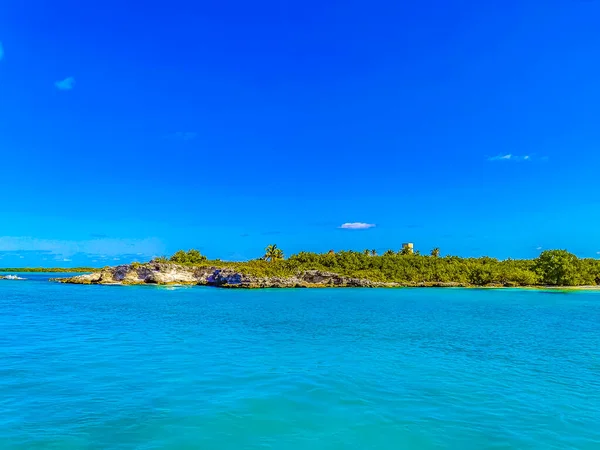 Amazing landscape panorama view with turquoise blue water palm trees blue sky and the natural tropical beach and the forest on the beautiful island of Contoy in Quintana Roo Mexico.
