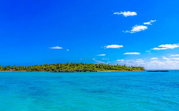 Amazing landscape panorama view with turquoise blue water palm trees blue sky and the natural tropical beach and the forest on the beautiful island of Contoy in Quintana Roo Mexico.