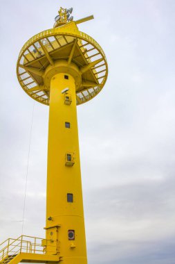 Lezbiyen batakhanesindeki sarı deniz feneri. Çimen taşları. Deniz yosunları. Kuzey Denizi kıyısındaki deniz yosunu..