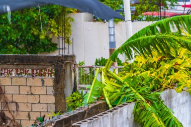 Playa del Carmen Quintana Roo Meksika 'da 2021 Kasırgası şiddetli rüzgar ve fırtına yıkıma ve yıkıma neden oldu palmiye ağaçları caddeleri, arabalar çatılar..