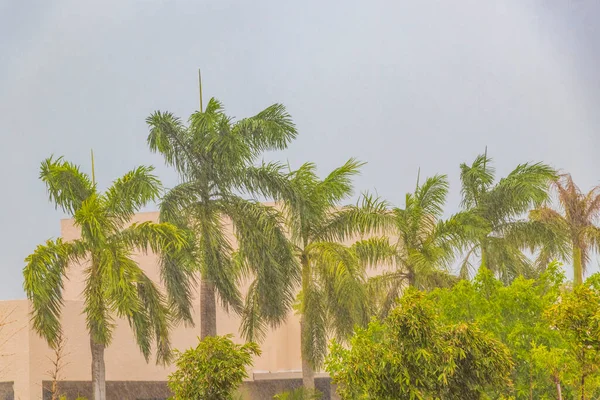 Huracán 2021 Playa Del Carmen Quintana Roo México Tormenta Extrema — Foto de Stock