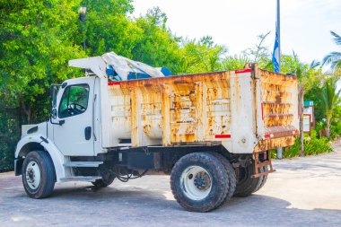 Çöp kamyonu ve kazıcı, Playa del Carmen Quintana Roo Meksika sahilindeki deniz yosunu sargazosunu kaldırdı..