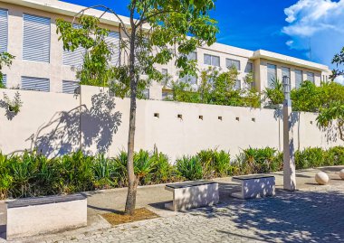 Palmiye ağaçlarıyla dolu sıradan sokak ve şehir manzarası mimari banklar ve Meksika 'daki Luis Donaldo Colosio Playa del Carmen' in duvar resimleri..