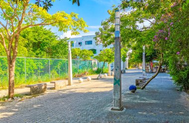 Palmiye ağaçlarıyla dolu sıradan sokak ve şehir manzarası mimari banklar ve Meksika 'daki Luis Donaldo Colosio Playa del Carmen' in duvar resimleri..