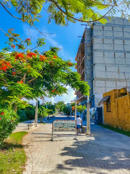 Playa Del Carmen México Julio 2022 Típica Calle Peatonal Paisaje — Foto de Stock