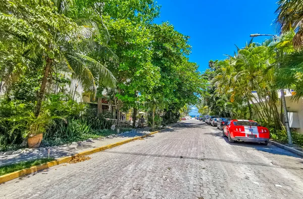 Playa Del Carmen Éves Május 2022 Tipikus Utcai Városkép Autók — Stock Fotó