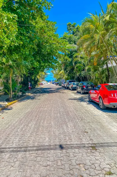 Playa Del Carmen Mai 2022 Typische Straße Und Stadtbild Mit — Stockfoto