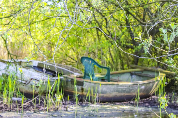 Old broken boats overgrown with green moss and mold in the forest at the Bederkesa Lake in Bad Bederkesa Geestland Cuxhaven Lower Saxony Germany.