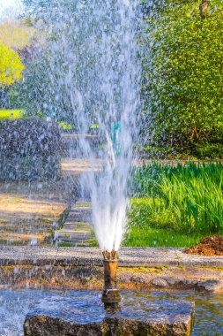Bad Bederkesa Geestland Cuxhaven Aşağı Saksonya Almanya 'sında Bederkesa Gölü' ndeki güzel bir parkta uzun çimen suyu ve gölet..