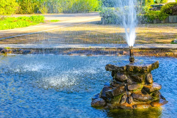 Fountain tall grass water and pond in a beautiful park at the Bederkesa Lake in Bad Bederkesa Geestland Cuxhaven Lower Saxony Germany.