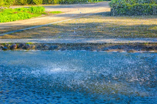 Fountain tall grass water and pond in a beautiful park at the Bederkesa Lake in Bad Bederkesa Geestland Cuxhaven Lower Saxony Germany.