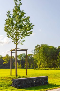 Natural beautiful panorama view with lake river walking pathway and green plants trees in the forest of Speckenbuetteler Park in Lehe Bremerhaven Germany.