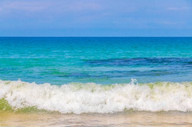 Nai Thon Naithon Sahili turkuaz berrak su ve Phuket adası Tayland 'daki Sakhu Thalang' da dalgalarla dolu güzel bir rüya körfezi..