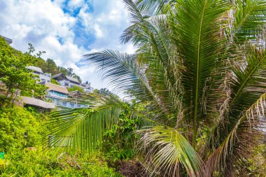 Palmiye ağaçları ve tatil köyü Naithon Sahili körfezi ve manzara manzarası turkuaz berrak su ve Phuket Adası Tayland 'daki Sakhu Thalang' da dalgalarla dolu güzel bir rüya sahili..