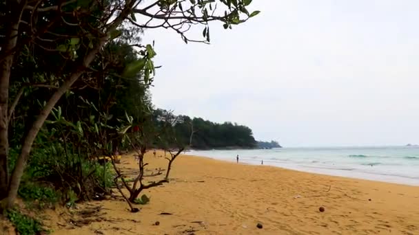 ナイトン ビーチ ベイと景色のパノラマ ターコイズブルーの澄んだ水と波が美しい夢のビーチプーケット島のサク タラン東南アジアタイ — ストック動画