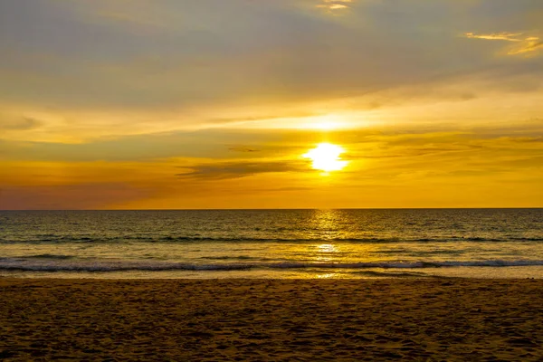 테스타 시아의 해변의 자연에 아름다운 다채롭고 황금빛의 아름다운 — 스톡 사진