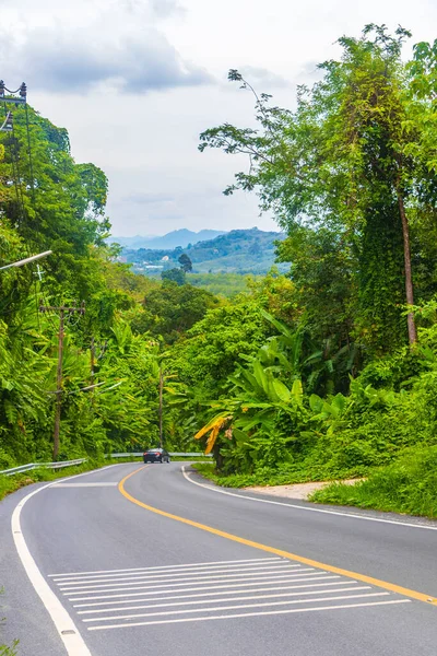 Landscape Cityscape Panorama Street Road Cars Building Houses Forest Jungle — Stock Photo, Image