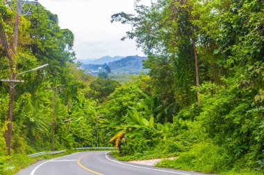 Phuket Adası Tayland 'da Sakhu Thalang' da orman ormanı ve dağ evleri inşa eden sokak arabalarıyla manzara ve şehir manzarası.