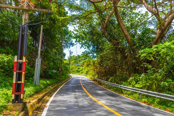 Landscape Cityscape Panorama Street Road Cars Building Houses Forest Jungle — Stock Photo, Image