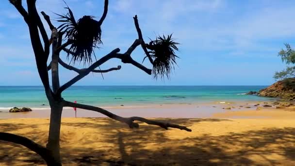 Най Тон Найтон Біч Затока Ландшафтна Панорама Прекрасний Пляж Бірюзовою — стокове відео