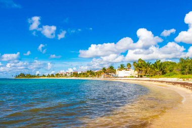 Tropical mexican beach landscape panorama with clear turquoise blue water and seaweed sargazo in Playa del Carmen Mexico.