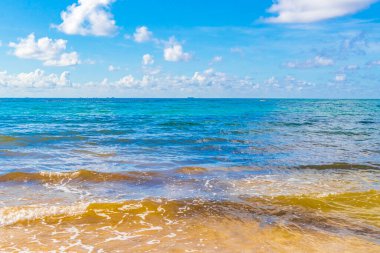 Playa del Carmen Mexico 'da berrak turkuaz mavi suyu olan tropik Meksika sahili manzarası..