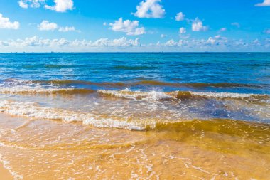 Playa del Carmen Mexico 'da berrak turkuaz mavi suyu olan tropik Meksika sahili manzarası..