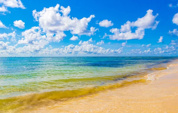 Panorama Paisagem Praia Tropical Mexicana Com Água Azul Turquesa Clara — Fotografia de Stock