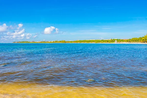 Panorama Paisagem Praia Tropical Mexicana Com Água Azul Turquesa Clara — Fotografia de Stock