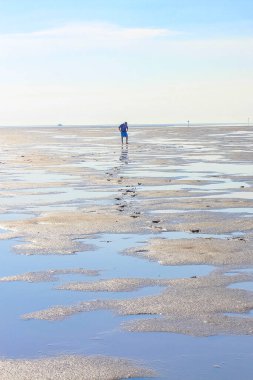 Wursten Cuxhaven 'da Wursten Saksonya' da Kuzey Denizi kıyısında mavi gökyüzü ile yürüyüş yapan deniz manzarası ve çamur düzlükleri..