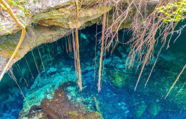 İnanılmaz mavi turkuaz su ve kireçtaşı mağarası çöküntüsü Puerto Aventuras Quintana Roo Mexico 'da Tajma ha Tajmaha' yı sahneledi..