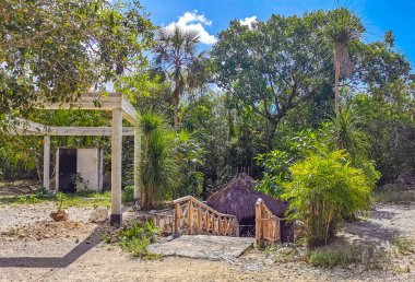 Puerto Aventuras Quintana Roo Mexico 'daki muhteşem mavi turkuaz su ve kireç taşı mağarası girişi Tajma ha Tajmaha' da..