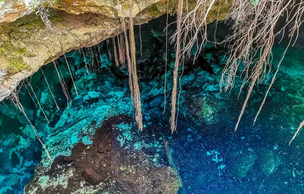 Amazing Blue Turquoise Water Limestone Cave Sinkhole Cenote Tajma Tajmaha — Photo