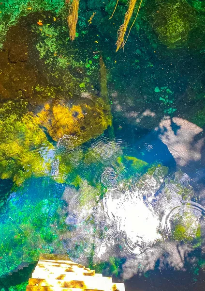 Erstaunlich Blaues Türkisfarbenes Wasser Und Kalksteinhöhle Cenote Tajma Tajmaha Puerto — Stockfoto