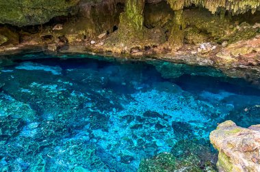 İnanılmaz mavi turkuaz su ve kireçtaşı mağarası çöküntüsü Puerto Aventuras Quintana Roo Mexico 'da Tajma ha Tajmaha' yı sahneledi..
