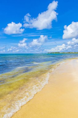 Playa del Carmen Mexico 'da berrak turkuaz mavi suyu olan tropik Meksika sahili manzarası..