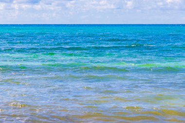 Playa del Carmen Mexico 'da berrak turkuaz mavi suyu olan tropik Meksika sahili manzarası..