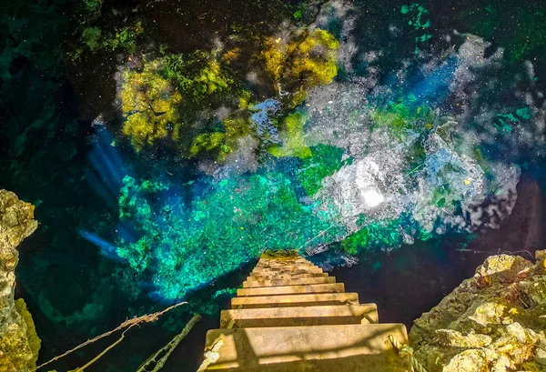 Niesamowita Niebieska Turkusowa Woda Jaskinia Wapienna Cenote Tajma Tajmaha Puerto — Zdjęcie stockowe