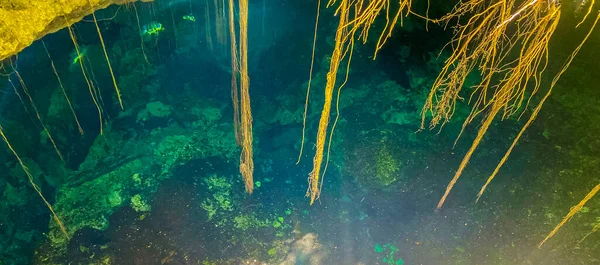 Amazing Blue Turquoise Water Limestone Cave Sinkhole Cenote Tajma Tajmaha — Stock Photo, Image