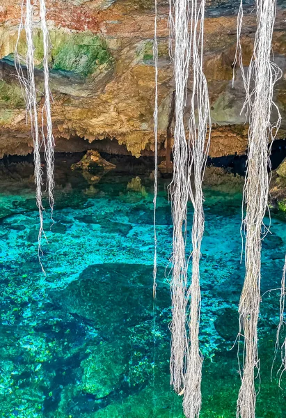 Amazing Blue Turquoise Water Limestone Cave Sinkhole Cenote Tajma Tajmaha — Stock Photo, Image