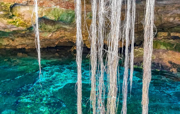 Increíble Cenote Azul Turquesa Agua Cueva Piedra Caliza Tajma Tajmaha — Foto de Stock