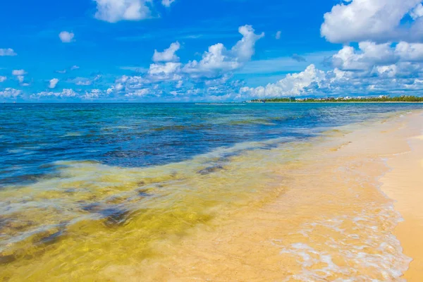 Мексиканский Тропический Пейзаж Бирюзовой Голубой Водой Пляже Playa Del Carmen — стоковое фото