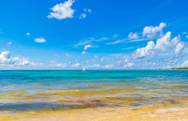 Panorama Tropical Playa Mexicana Con Agua Azul Turquesa Clara Playa —  Fotos de Stock