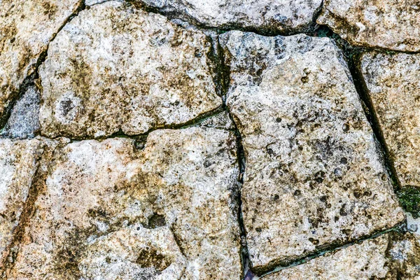 Настенный Камень Узор Пола Грунта Площади Плайя Дель Кинтана Роо — стоковое фото
