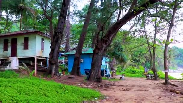 Landscape Cityscape Panorama Beach Huts Building Houses Forest Jungle Nature — Stock Video